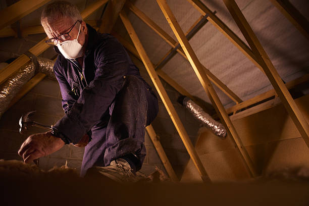 Best Insulation Installation Services in Daphne, AL