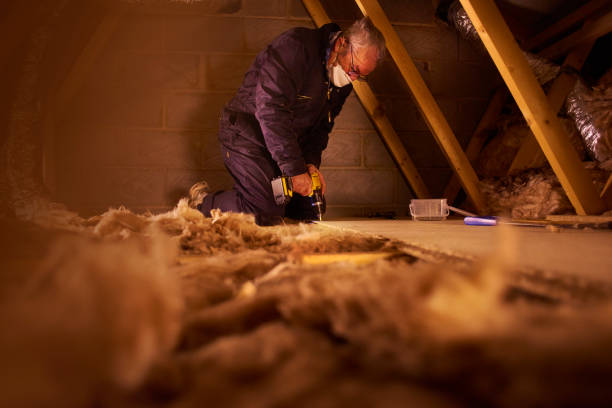 Best Insulation Maintenance and Repair in Daphne, AL